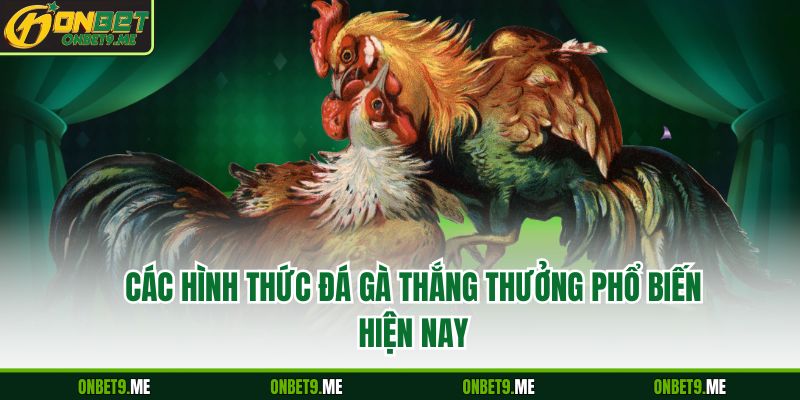 Các hình thức ĐÁ GÀ thắng thưởng phổ biến hiện nay