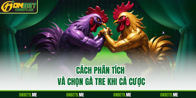 Cách phân tích và chọn gà tre khi cá cược