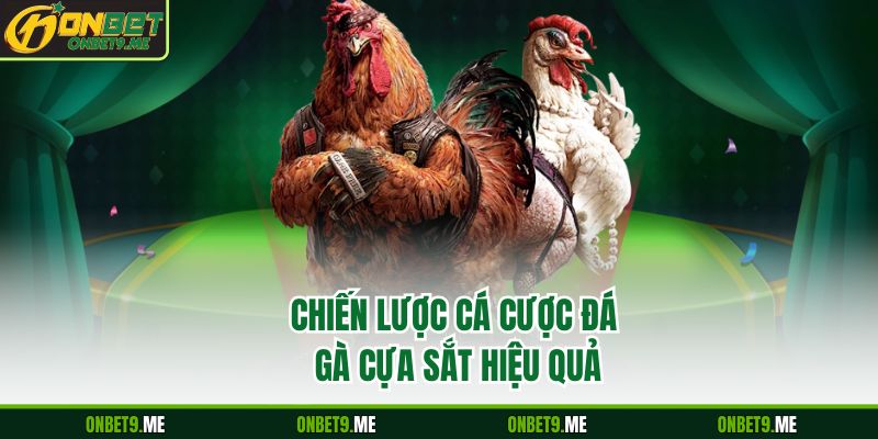 Chiến lược cá cược Đá Gà cựa sắt hiệu quả