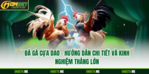 Đá Gà Cựa Dao – Hướng Dẫn Chi Tiết và Kinh Nghiệm Thắng Lớn