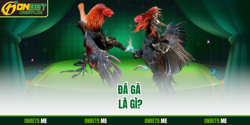 ĐÁ GÀ là gì?