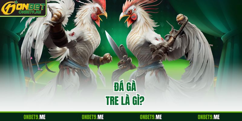 Đá gà tre là gì?