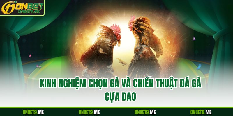 Kinh nghiệm chọn gà và chiến thuật đá gà cựa dao