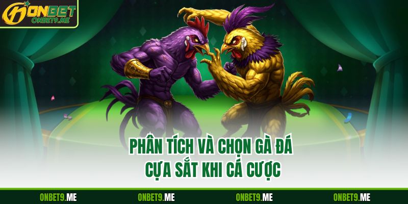 Phân tích và chọn gà đá cựa sắt khi cá cược